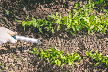 Similar image 22141413