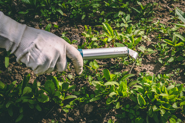 Similar image 22150028