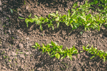 Similar image 22150029