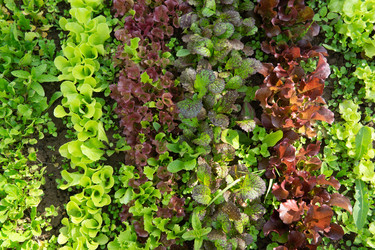 Similar image 22152836