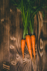 Similar image 22155272