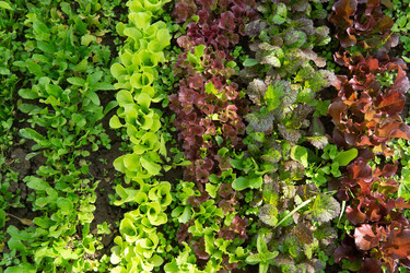 Similar image 22141415