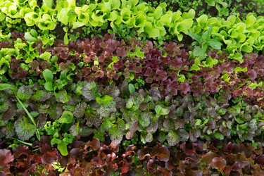 Similar image 22155273