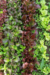 Similar image 22147894