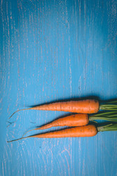 Similar image 22160537