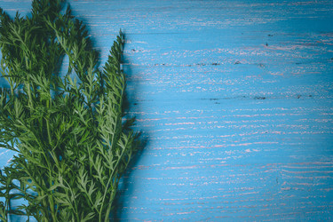 Similar image 22149207