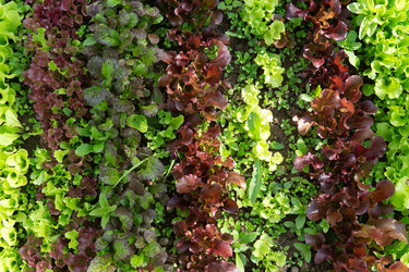 Similar image 22160539