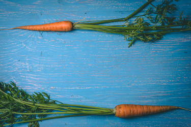 Similar image 22160540