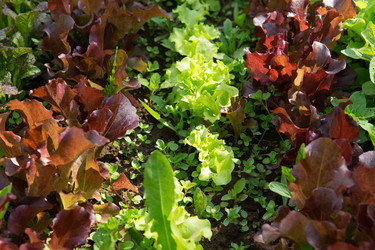 Similar image 22160541