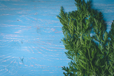 Similar image 22160542