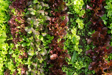 Similar image 22160543