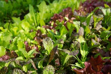 Similar image 22160544