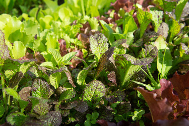 Similar image 22149208