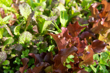 Similar image 22160547