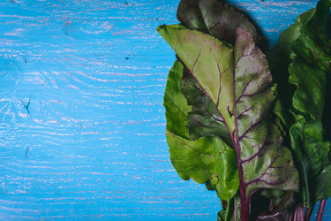 Similar image 22160549