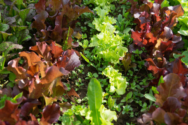 Similar image 22160550