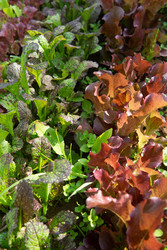 Similar image 22160552