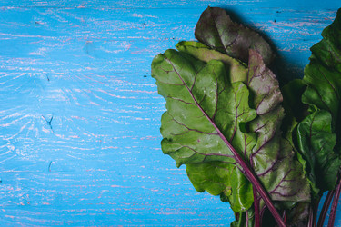 Similar image 22160553