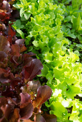 Similar image 22160554