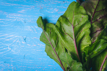 Similar image 22150030