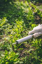 Similar image 22141416