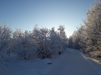 Similar image 22142428