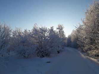 Similar image 22142429