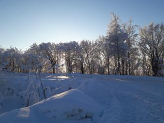 Similar image 22142430