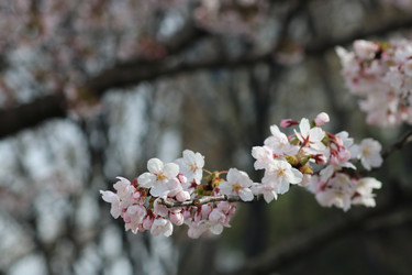 Similar image 22142435