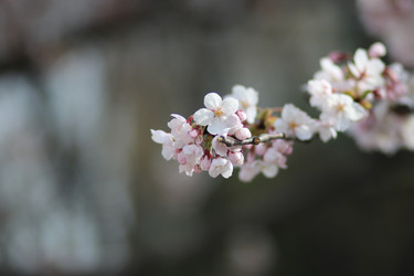 Similar image 22142436