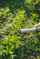 Similar image 22160556