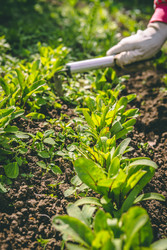 Similar image 22160558