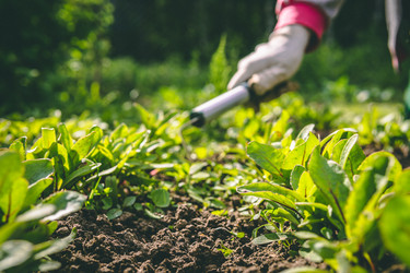 Similar image 22160561