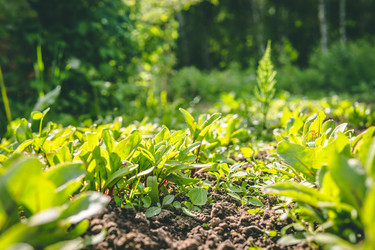 Similar image 22144059