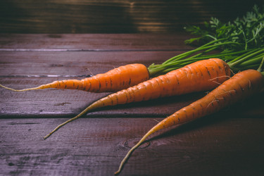 Similar image 22160565