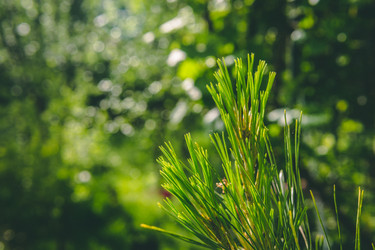 Similar image 22142438