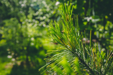 Similar image 22149210