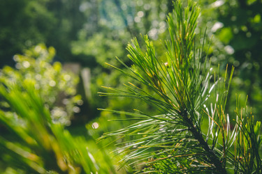 Similar image 22160570