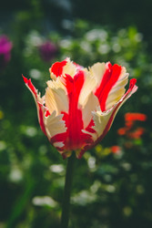 Similar image 22160573