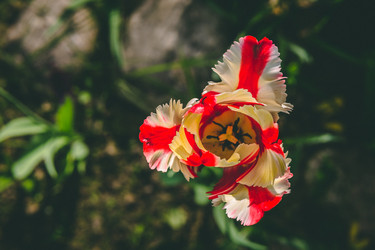 Similar image 22152841