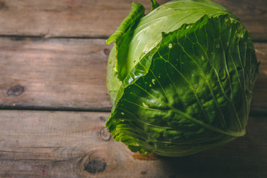 Similar image 22160575