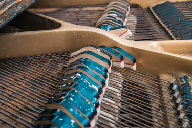 Similar image 22142440