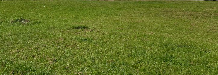 Similar image 22142445