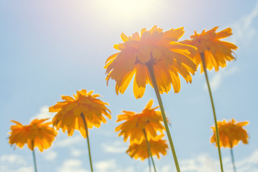 Similar image 22142083