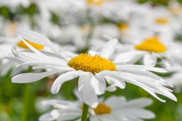 Similar image 22142085