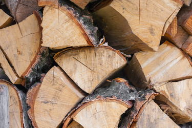 Similar image 22142309