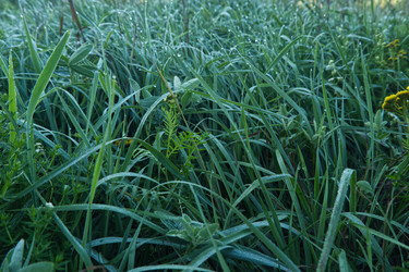 Similar image 22142478