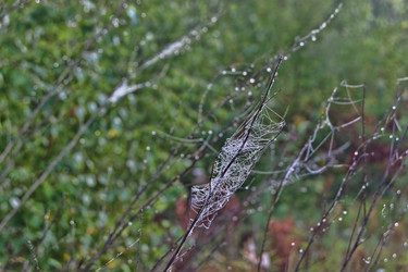 Similar image 22142480