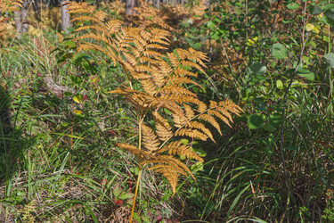 Similar image 22142481