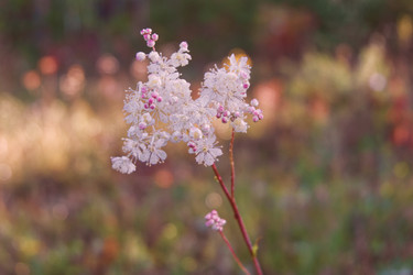 Similar image 22142482